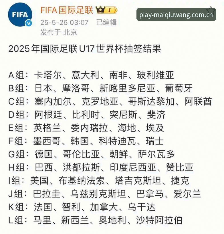 U17世界杯完整观赛指南：在买球在线平台深度解析抽签结果